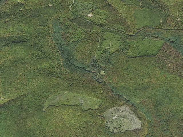 Aerial image of Susquehannock State Forest roadside campsite Dyer 006