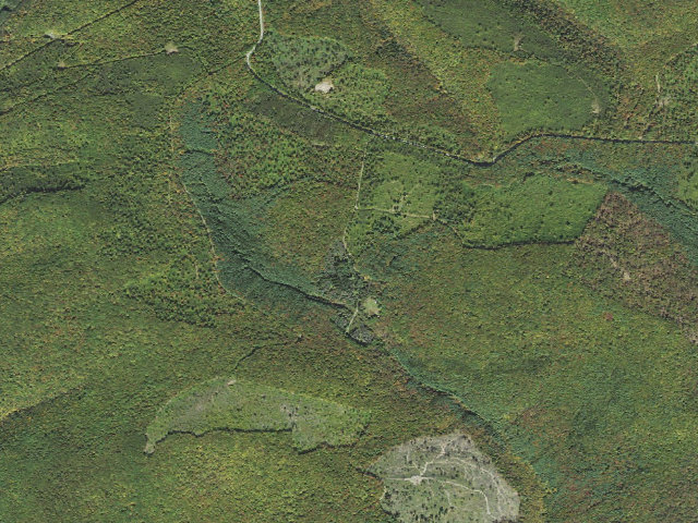 Aerial image of Susquehannock State Forest roadside campsite Dyer 001