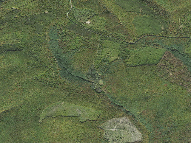 Aerial image of Susquehannock State Forest roadside campsite Dyer 003