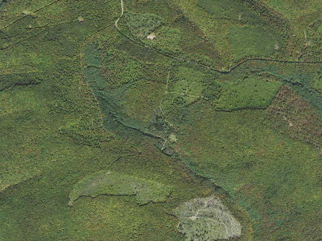 Aerial image of Susquehannock State Forest roadside campsite Dyer 004