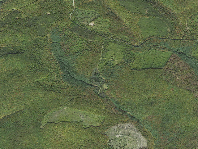 Aerial image of Susquehannock State Forest roadside campsite Dyer 002