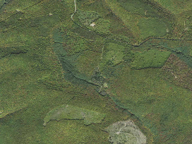 Aerial image of Susquehannock State Forest roadside campsite Dyer 005