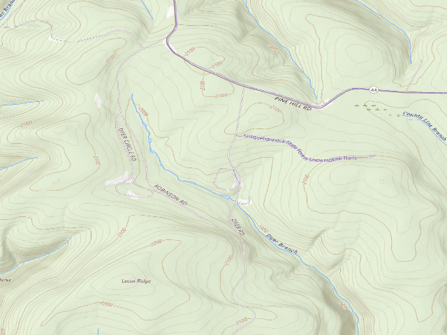 USGS topographic map of Susquehannock State Forest roadside campsite Dyer 005