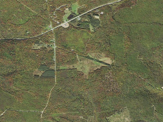 Aerial image of Susquehannock State Forest roadside campsite Leo's Landing 005