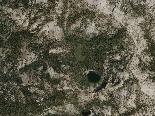 Aerial image of Swamp Meadow