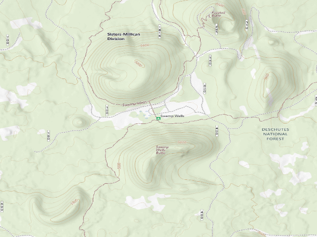 USGS topographic map of Swamp Wells