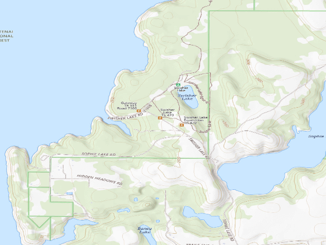 USGS topographic map of Swisher South
