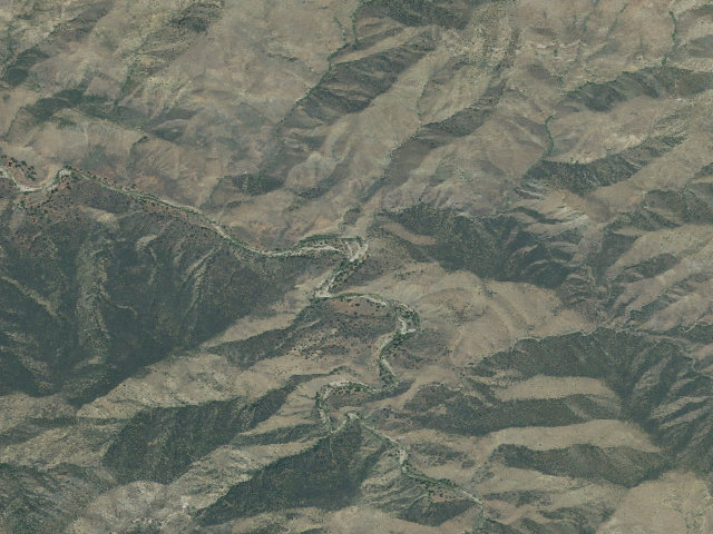 Aerial image of Sycamore Camp