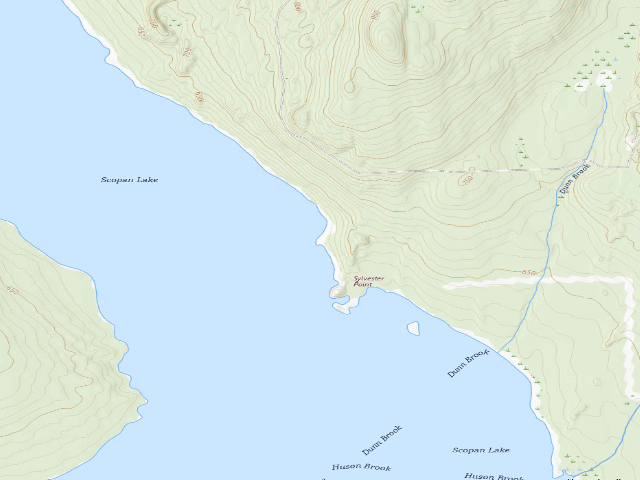 USGS topographic map of Sylvester North (Scopan Public Land)