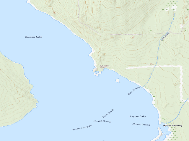 USGS topographic map of Sylvester Point 1 (Scopan Public Land)