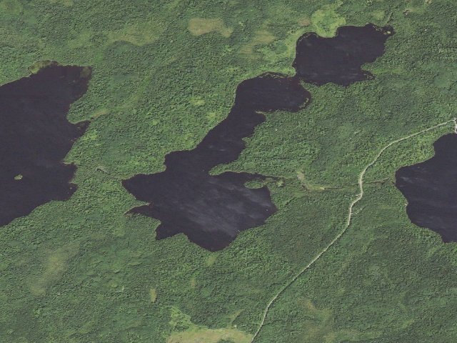 Aerial image of T Lake Site 2