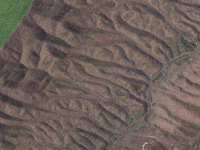 Aerial image of T.M. Gathright WMA