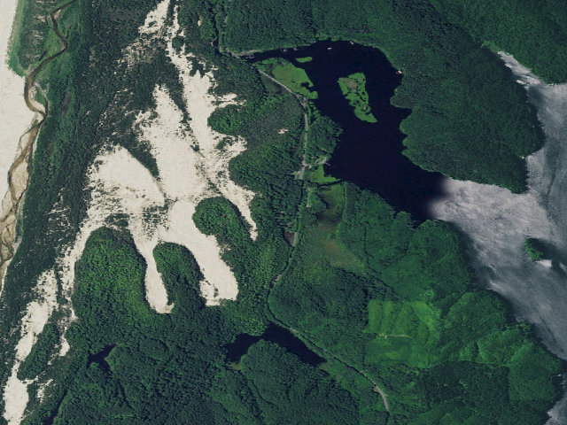 Aerial image of Tahkenitch Campground