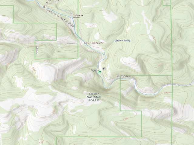 USGS topographic map of Tajique Campground