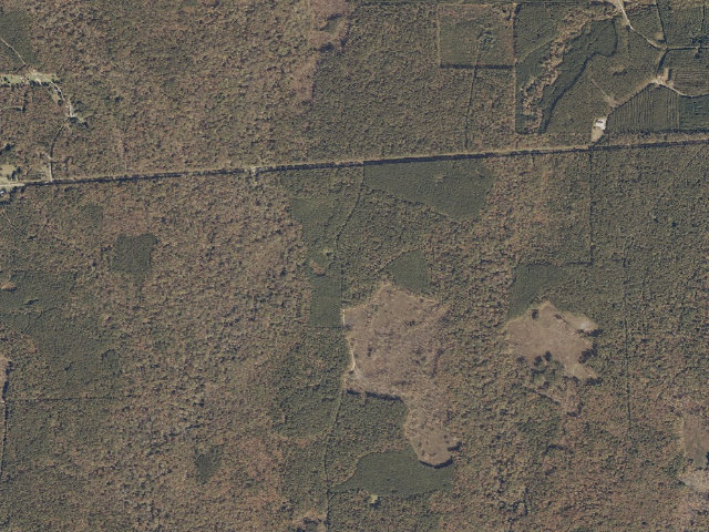 Aerial image of Tallahala WMA camp site 1
