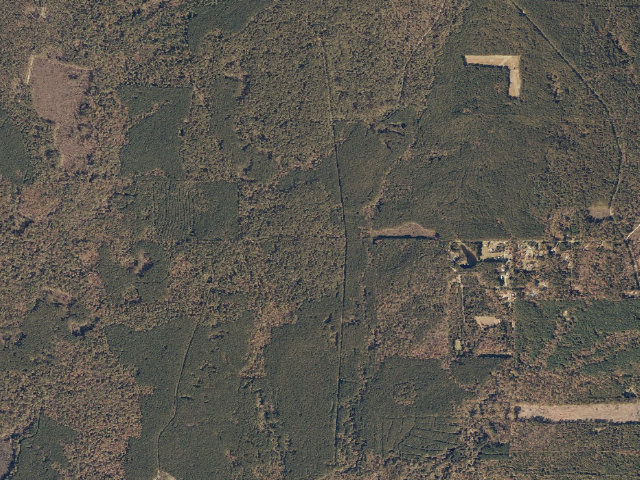 Aerial image of Tallahala WMA camp site 2