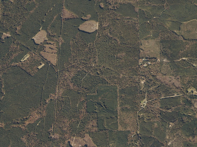 Aerial image of Tallahala WMA camp site 3