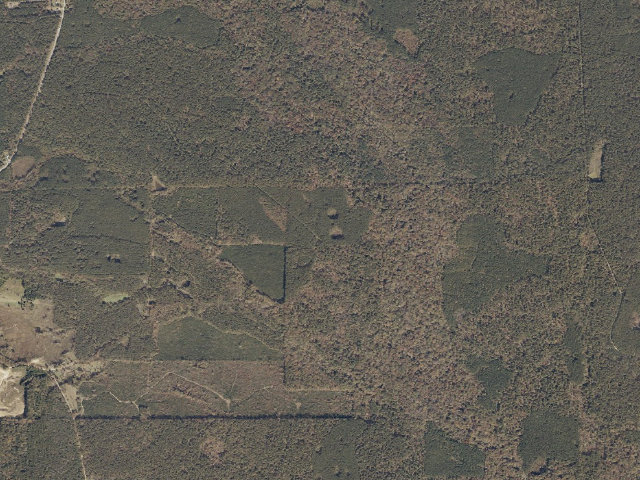 Aerial image of Tallahala WMA camp site 4