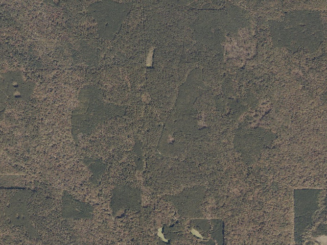 Aerial image of Tallahala WMA camp site 5