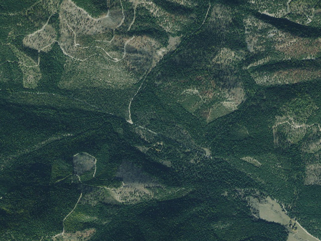 Aerial image of Tamarack 003