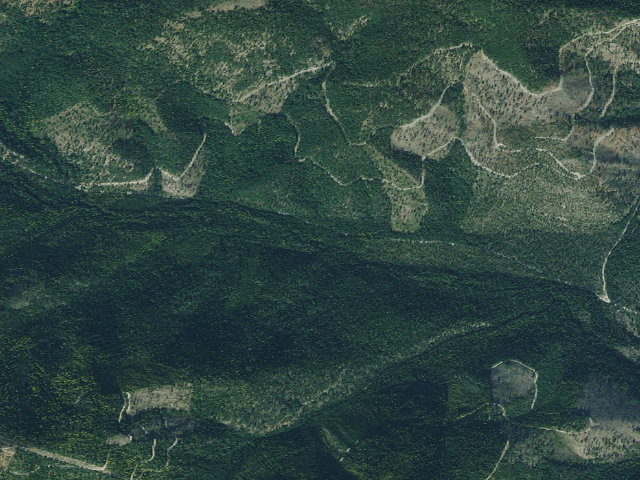 Aerial image of Tamarack 004