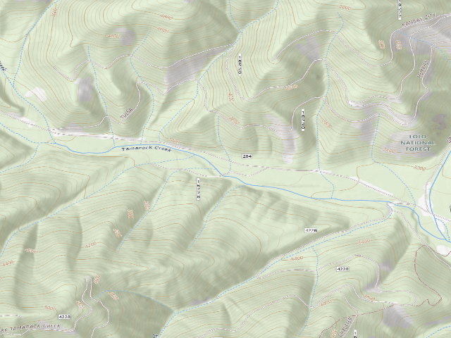 USGS topographic map of Tamarack 004