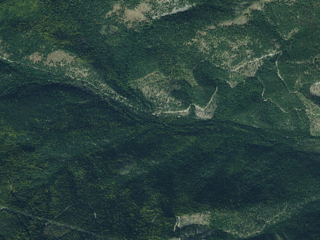 Aerial image of Tamarack 005