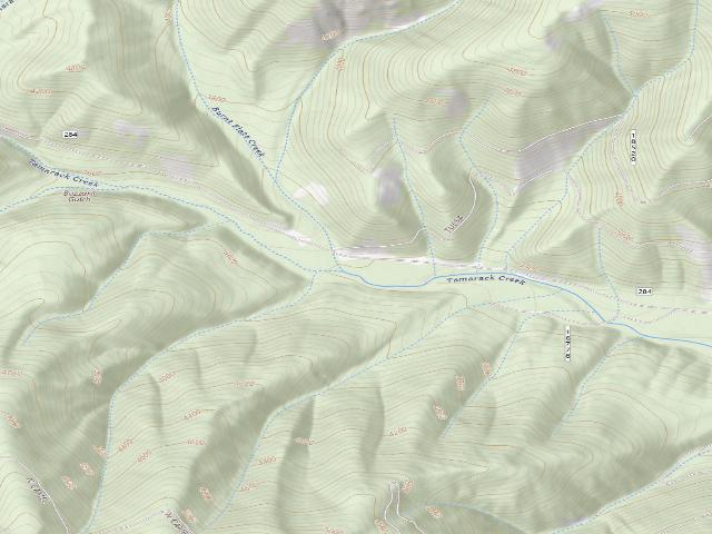 USGS topographic map of Tamarack 005