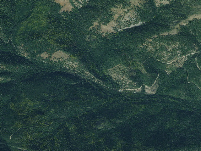Aerial image of Tamarack 006