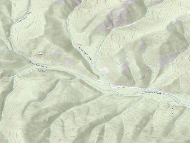 USGS topographic map of Tamarack 006