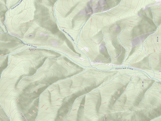 USGS topographic map of Tamarack 007B