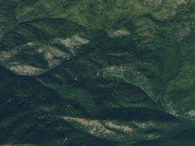 Aerial image of Tamarack 009