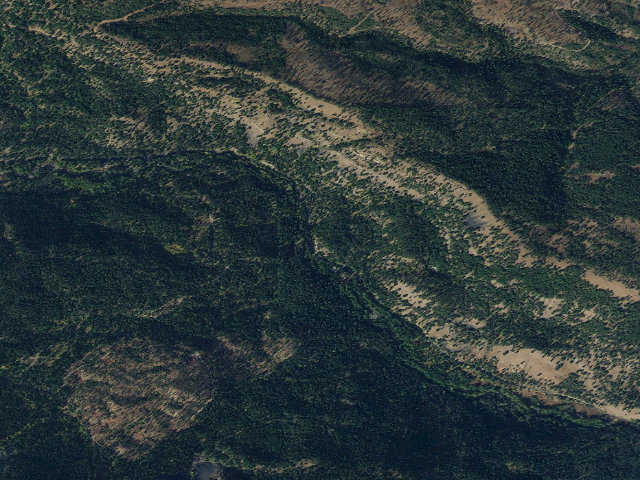 Aerial image of Taneum