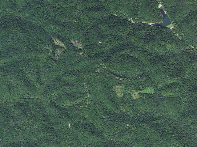 Aerial image of Tar Hollow State Park - Logan Backpack Trail primitive sites at the fire tower ($4)
