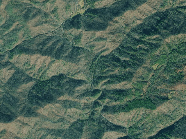 Aerial image of Tate Branch Campground