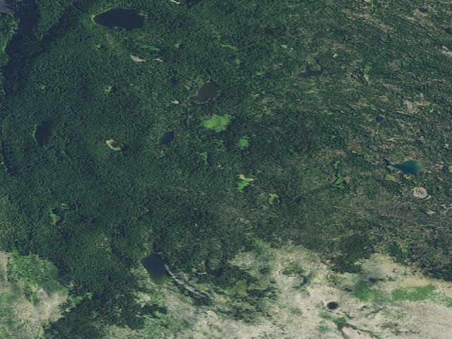 Aerial image of Taylor Burn Campground
