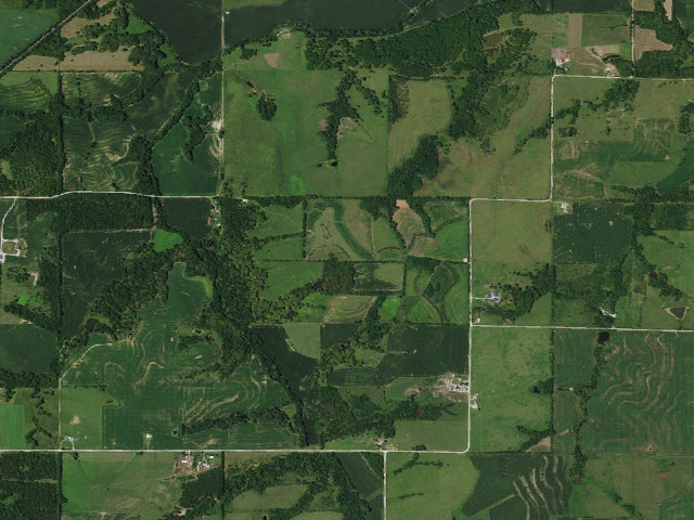 Aerial image of Taylor's Branch WMA