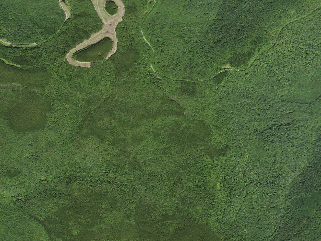 Aerial image of Tea Creek Shelter