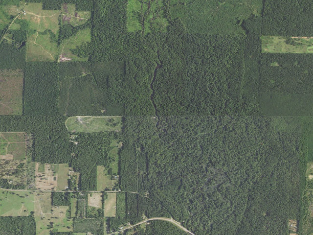 Aerial image of Teague Lake Primitive Camping