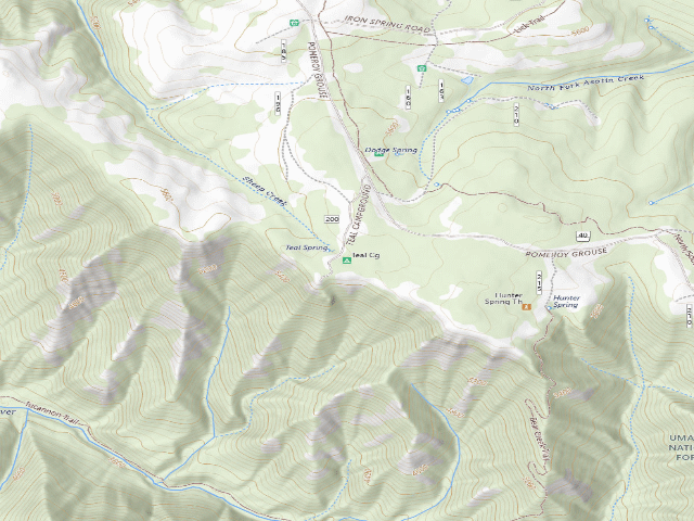 USGS topographic map of Teal Campground