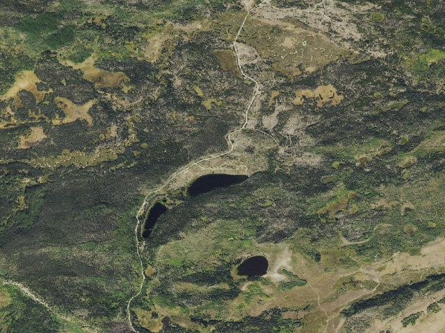 Aerial image of Teal Lake