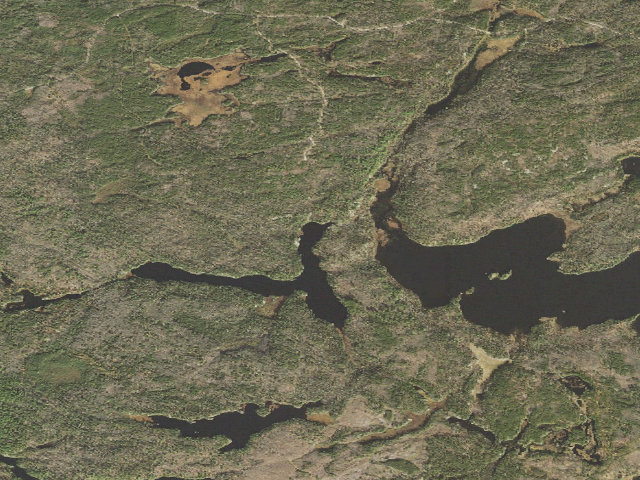 Aerial image of Tee Lake Site 1