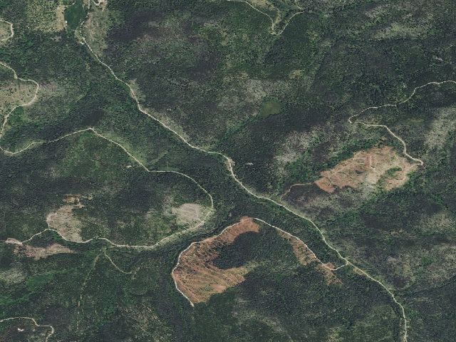 Aerial image of Telegraph-07