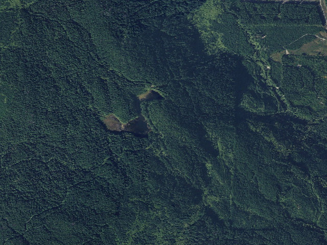Aerial image of Texas Pond