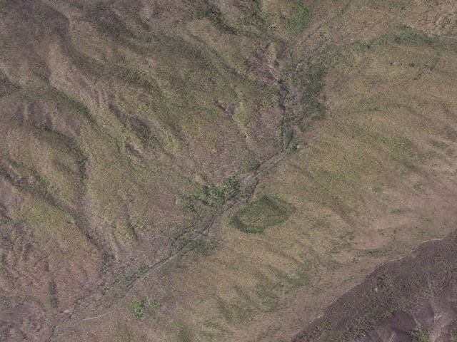 Aerial image of The Pines Campground