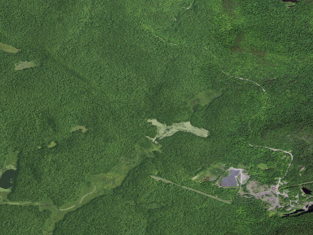 Aerial image of The Vly Pond Campsite (Siamese Ponds Wilderness)