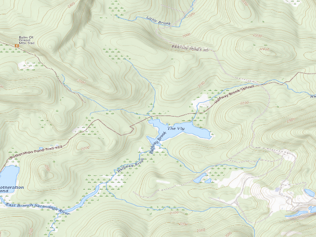 USGS topographic map of The Vly Pond Campsite (Siamese Ponds Wilderness)