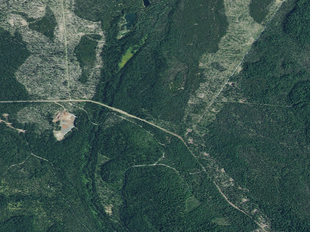 Aerial image of Thielsen Forest Camp