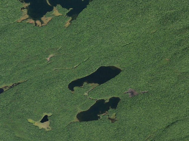 Aerial image of Third Lake #2 (Ferris Lake Wild Forest)