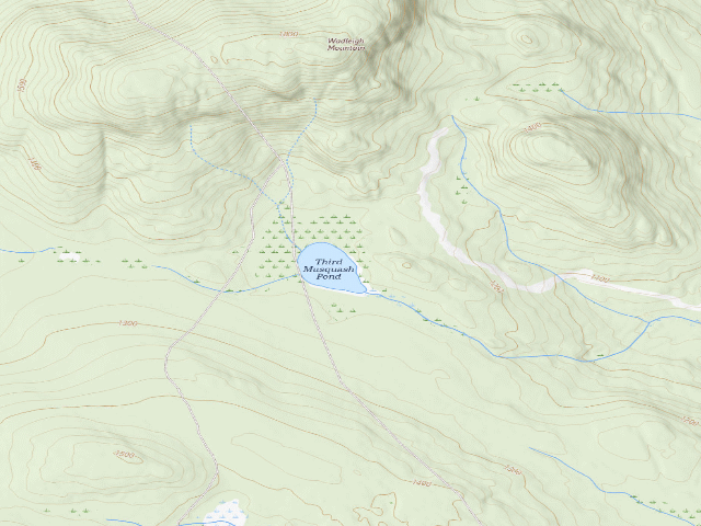 USGS topographic map of Third Musquash Pond (Nahmakanta Public Land)